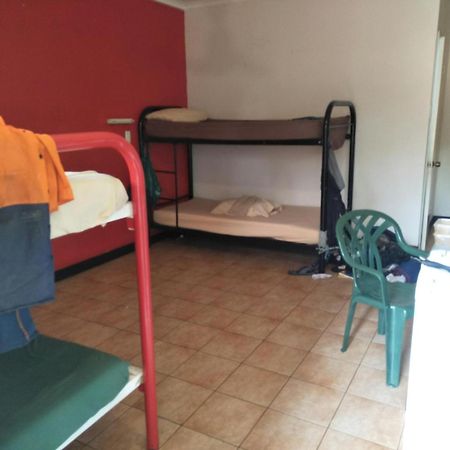 הוסטל קתרין Palm Court Backpackers מראה חיצוני תמונה