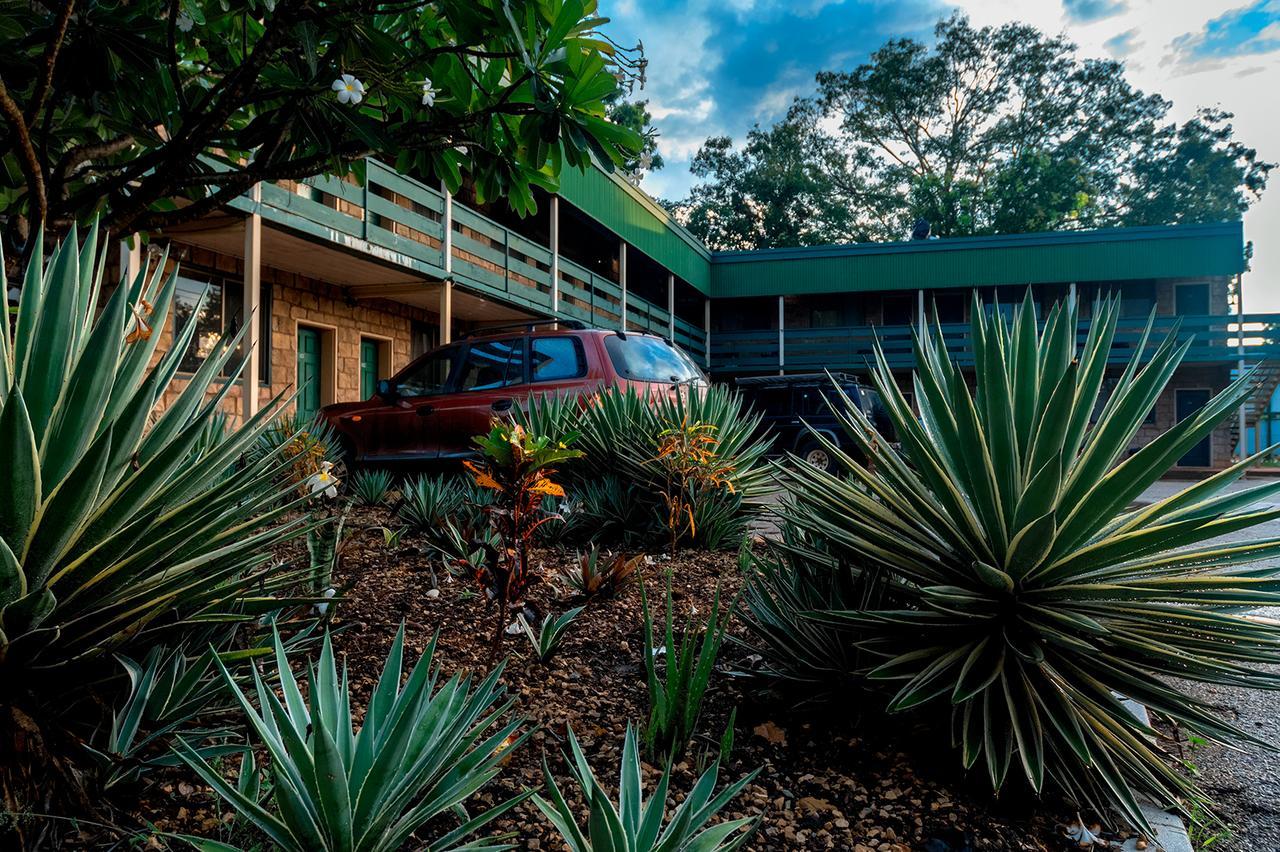 הוסטל קתרין Palm Court Backpackers מראה חיצוני תמונה