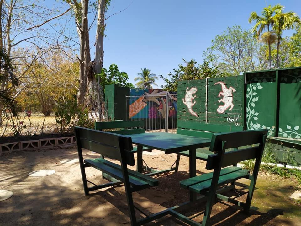 הוסטל קתרין Palm Court Backpackers מראה חיצוני תמונה
