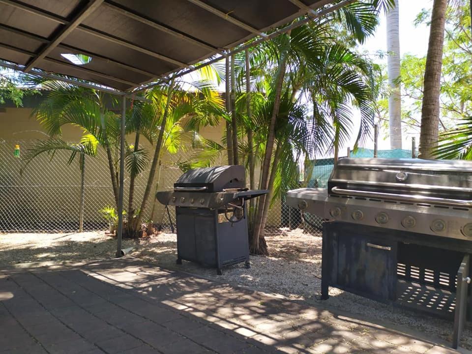 הוסטל קתרין Palm Court Backpackers מראה חיצוני תמונה